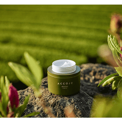 ACCOJE | Reviving Cream